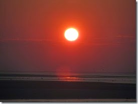 IMG_1225
