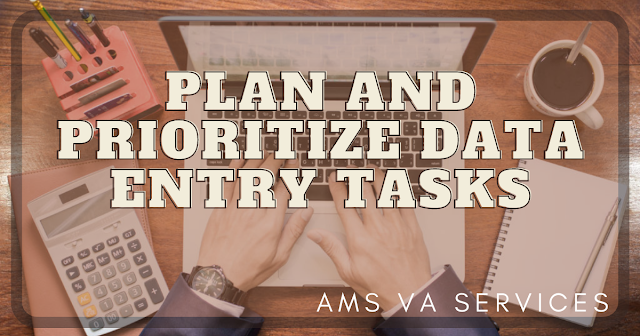 Plan and Prioritize Data Entry Tasks