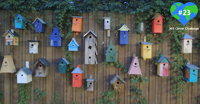 Sustainability and smiling, sustainable living, sustainability, climate action, bird houses