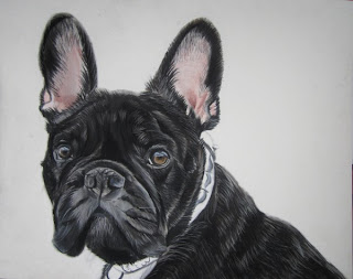 pastels bouledogue