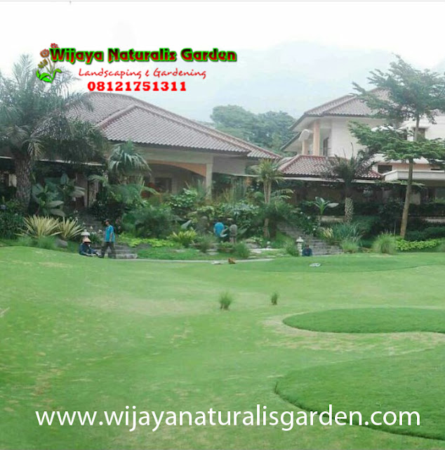 Tukang Taman Surabaya,,Tukang Taman Surabaya Garden Center,Tukang Taman Surabaya Jasa pembuatan taman dan kolam minimalis Surabaya,Tukang Taman Surabaya alam asri,Tukang Taman Surabaya,Tukang Taman Surabaya murah,Tukang Taman Surabaya barat,Tukang Taman di Surabaya,Harga Tukang Taman Surabaya,Tukang Taman Murah di Surabaya,Jasa Tukang Taman di Surabaya,Tukang Buat Taman di Surabaya,Jasa Tukang Taman Surabaya,Tukang Taman Murah Surabaya,Tukang Taman di Surabaya,Tukang Taman Surabaya Wijaya Naturalis,Tukang Pembuatan Taman Surabaya,Ahli Tukang Taman di Surabaya,Tempat Tukang Pembuatan Taman di Surabaya,Jasa Tukang Pembuatan Taman di Surabaya,Lokasi Tukang Pembuatan Taman di surabaya,Alamat Tukang Pembuatan Taman di Surabaya,Tempat Tukang Pembuatan Taman Surabaya,Jasa Tukang Pembuatan Taman Surabaya,Lokasi Tukang Pembuatan Taman Surabaya,Alamat Tukang Pembuatan Taman Surabaya