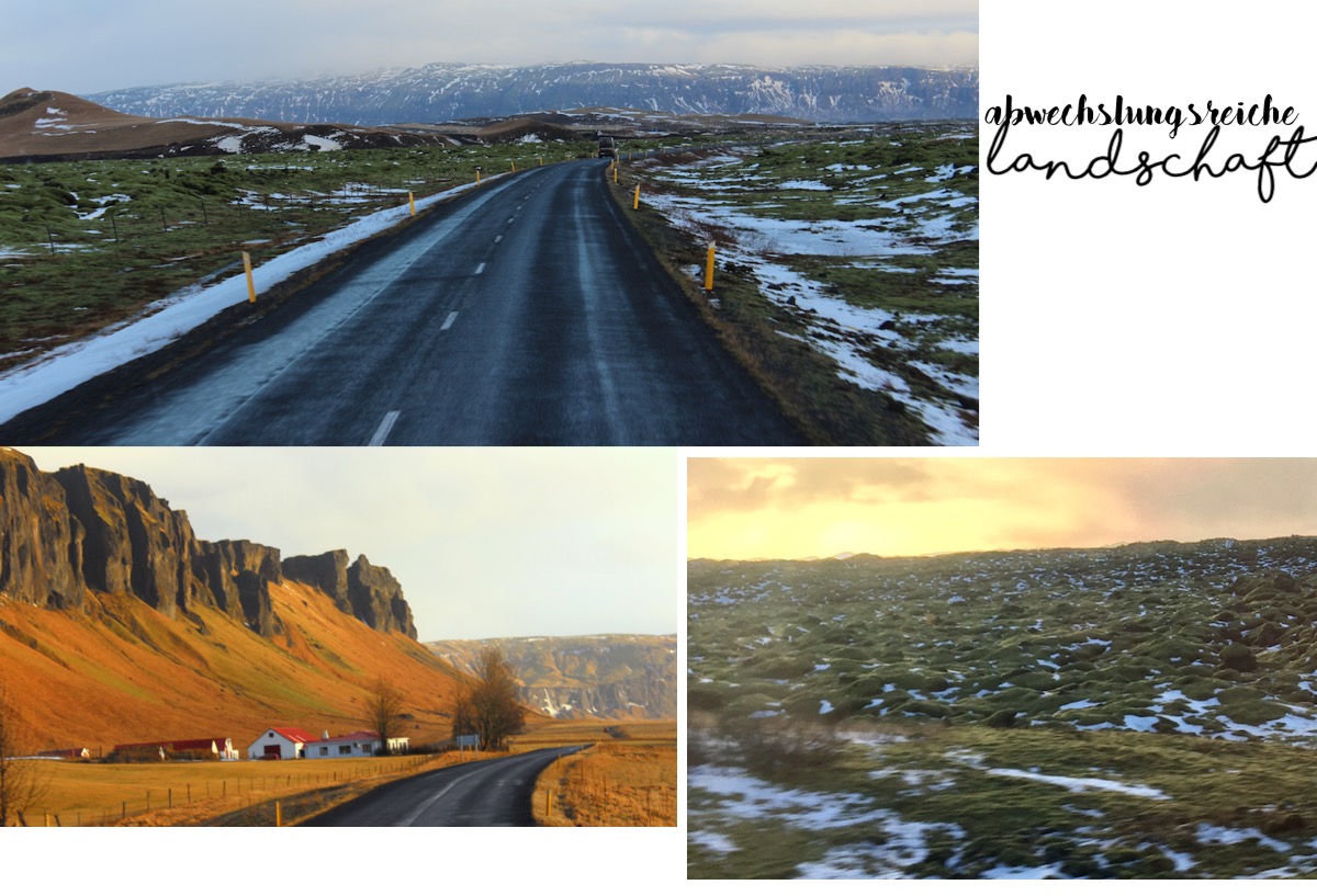Alles zu den schönsten Tagestouren von Reykjavik: Südküste Gletscherlagune, Golden Circle, Northern Lights und Blue Lagoon - Mehr auf TheBlondeLion http://www.theblondelion.com/2018/02/island-4-besten-touren-von-reykjavik-im-winter.html