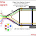 Reverse Light Wiring Diagram