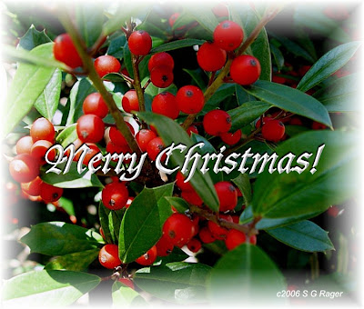 Merry Christmas Greetings