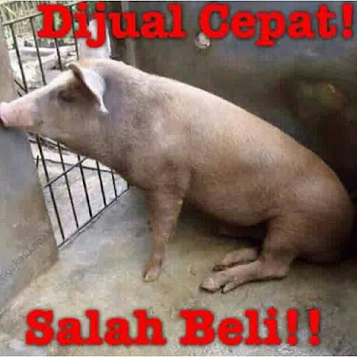 Kumpulan Meme dan Gambar Kocak Hewan Qurban yang Mengundang Tawa Terbaru  Kumpulan Meme dan Gambar Kocak Hewan Qurban yang Mengundang Tawa Terbaru 2018 