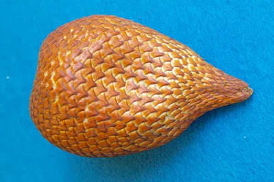 Salak - Salak fruit in Hindi