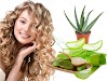 Beneficios del aloe vera para tu cabello 