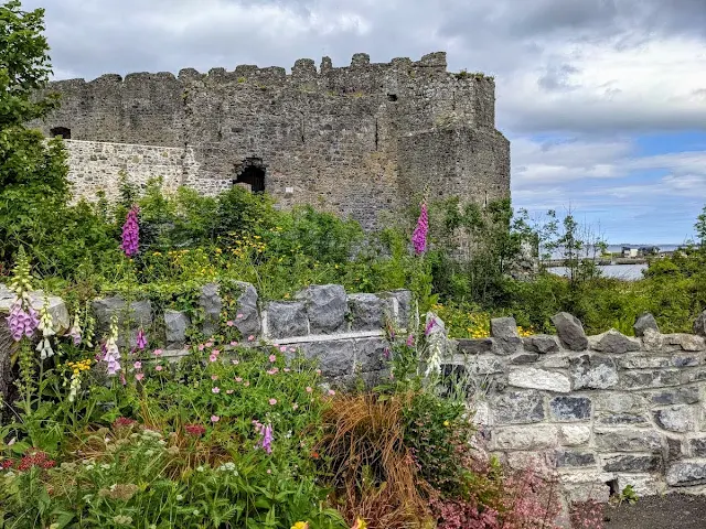 Best Castles in Ireland: Carlingford Castle