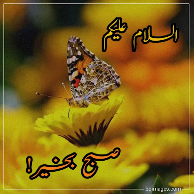 subha bakhair images in urdu