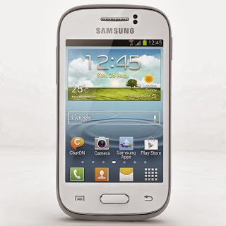 Samsung Galaxy Young S6310