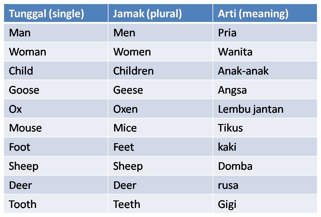 Kata Jamak Dalam Bahasa  Inggris Yang Tanpa S 