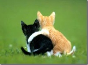 friendship