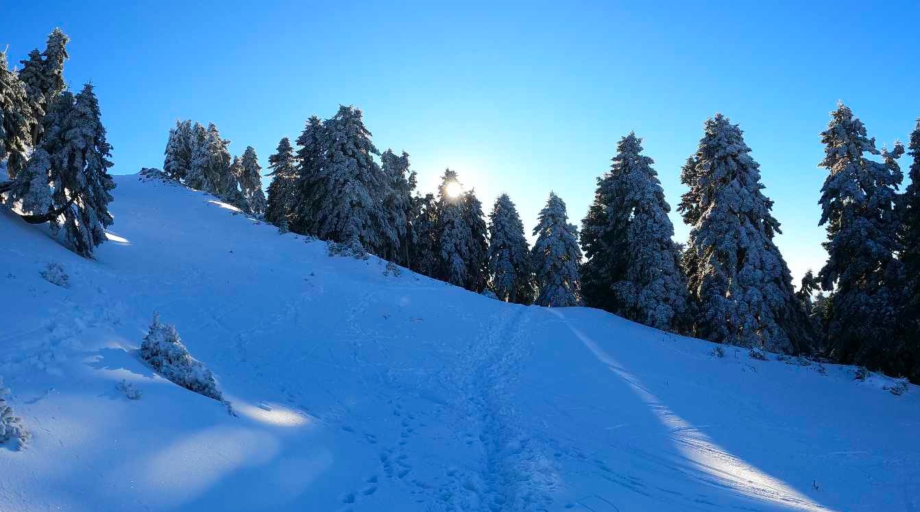 Η Εύβοια, με τα χιονισμένα τοπία της, αναδεικνύει τη μαγευτική ομορφιά της χειμερινής εποχής