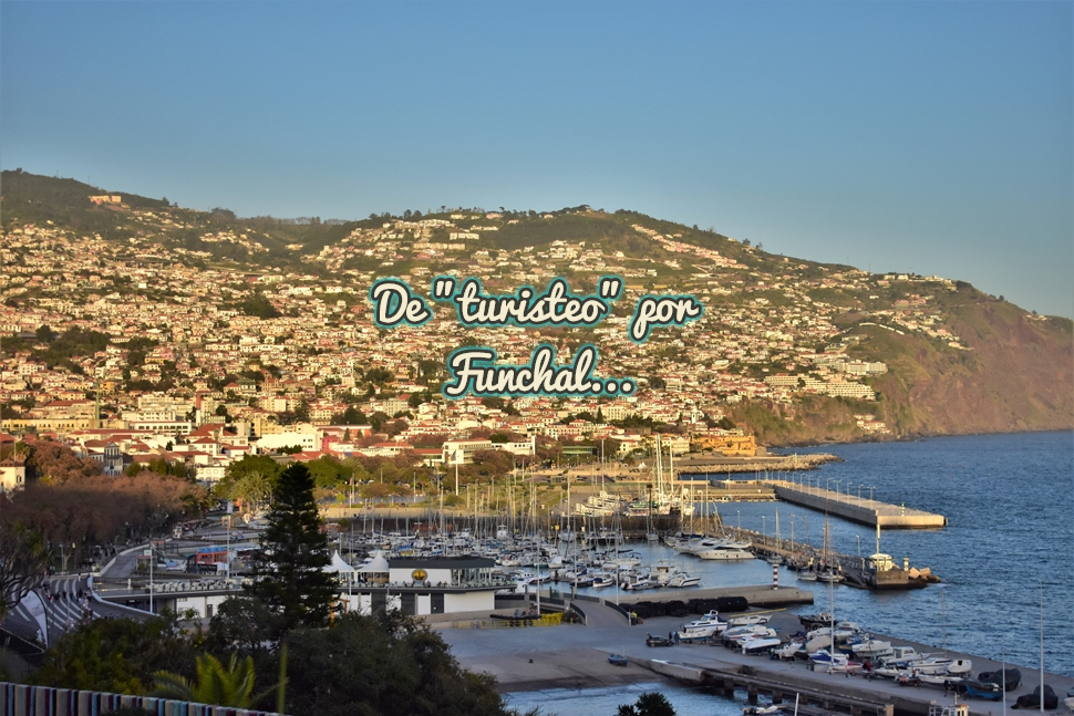 https://cuandobajelsol.blogspot.com/2019/03/de-turisteo-por-funchal.html