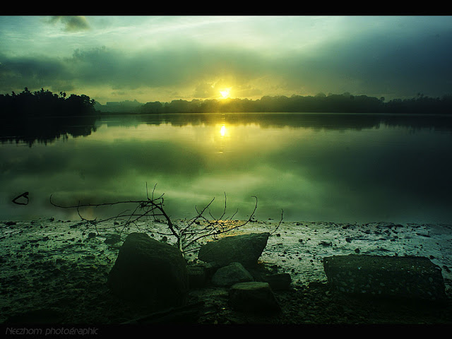 Foggy sunrise picture