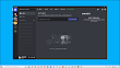 디스코드 - 게이밍에 특화된 음성채팅프로그램