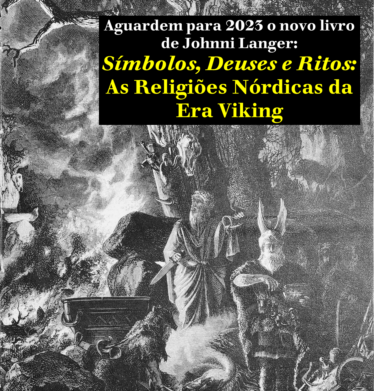 NÚCLEO DE ESTUDOS VIKINGS E ESCANDINAVOS (NEVE): Palestra em Araraquara  sobre literatura nórdica medieval