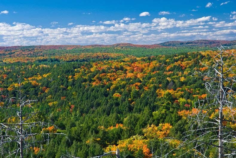 Algonquin- Park-22
