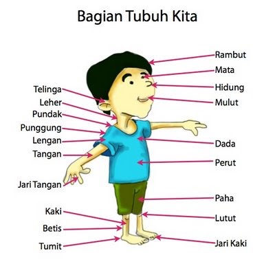 Cikgu Shidah Mengenal Anggota Badan