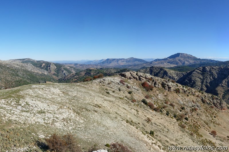 Cornicabral del Valle de Lifa