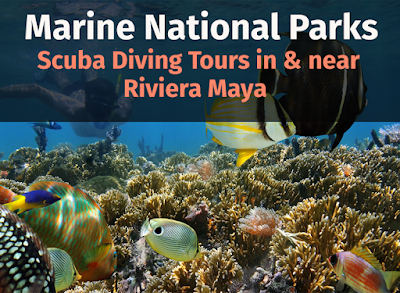 Marine National Parks Scuba Diving Tours in & near Riviera Maya