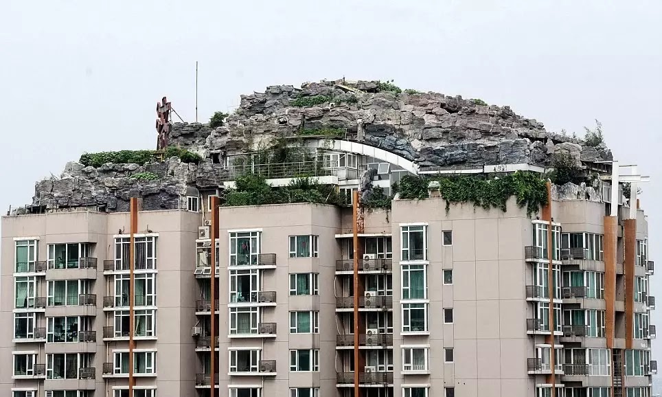  Waduh, Ada Batu Raksasa Tumbuh di Puncak Apartemen