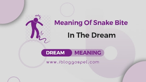 Spiritual Meaning Of Snake Bite In Dream