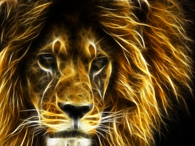 3D Lion Wallpaper 1