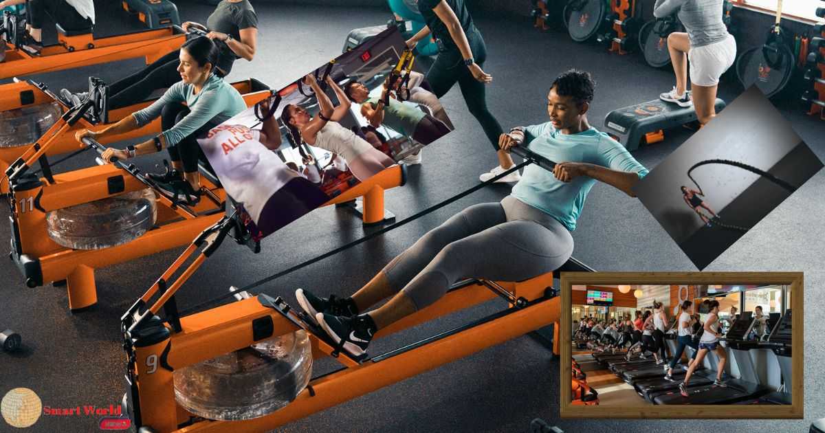 What Is The Orangetheory Workout Today