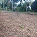 BTM676821: Land for sale in Gampaha