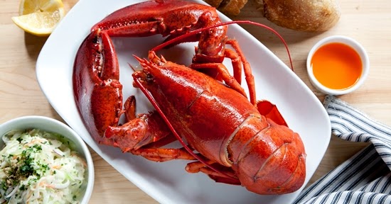 Prospek Bisnis Lobster Sebagai Udang Konsumsi, konsumsi lobster