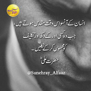 hazrat ali quotes in urdu