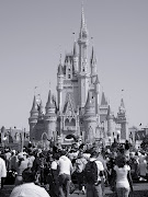 D for Disney Castle. Posted by Janelle on 8:36 AM. Posted in (for disney castle)