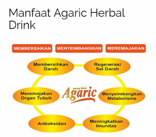 Manfaat Agaric Herbal Drink NASA