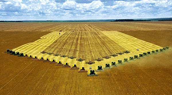  Aumento do custo da produção da soja preocupa agricultores