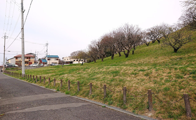 古室山古墳(藤井寺市)