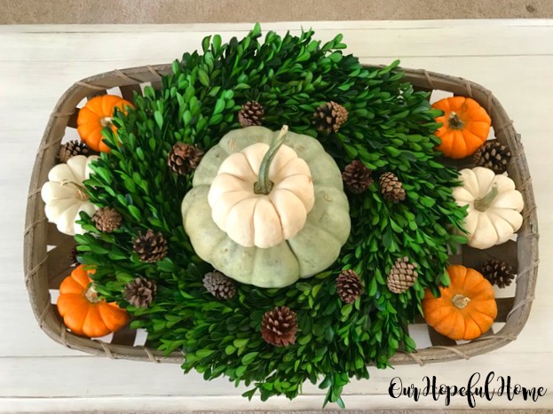 heirloom pumpkins topiary boxwood wreath bay boos pine cones