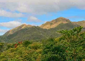 Mount Pulag