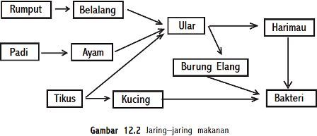 Hubungan Antar Komponen Ekosistem  TRENDING TOPICS