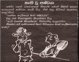lost horse,lanka fun picture,lanka funny picture,lanka fun photos