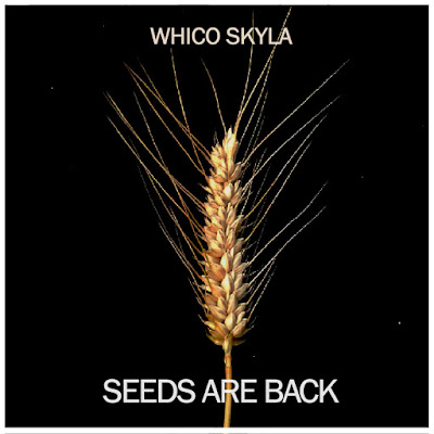 Ce "Seeds Are Back" de Whico Skyla vient des tripes, il y a de la sueur, de l'acharnement, de la volonté DIY à repousser les limites.