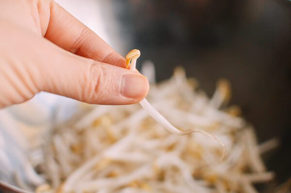 Tips Turunkan Berat Badan Dengan Sayur Taugeh! 