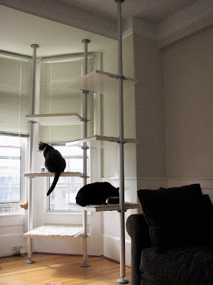 cat tree