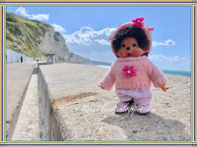 kiki monchhichi monchichi fécamp normandie plage falaise