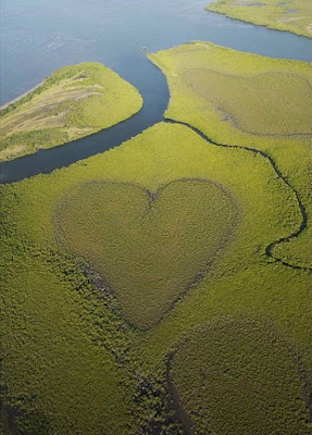 hearts in nature