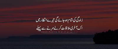 Zindagi-Ki-Shaam-Ho-Jaye-Gi-Tere-Intezaar-Mein-Two-Line-Poetry-Mulaqat-Shayari-Adab-Poetry-2-Line-Poetry