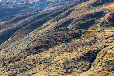 Ein einfaches Kreuz steht beim Rizli auf dem Oberalppass mitten in der herbstlich eingefärbten Heide.