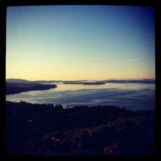 View from the trail leading to the summit of Mount Douglas