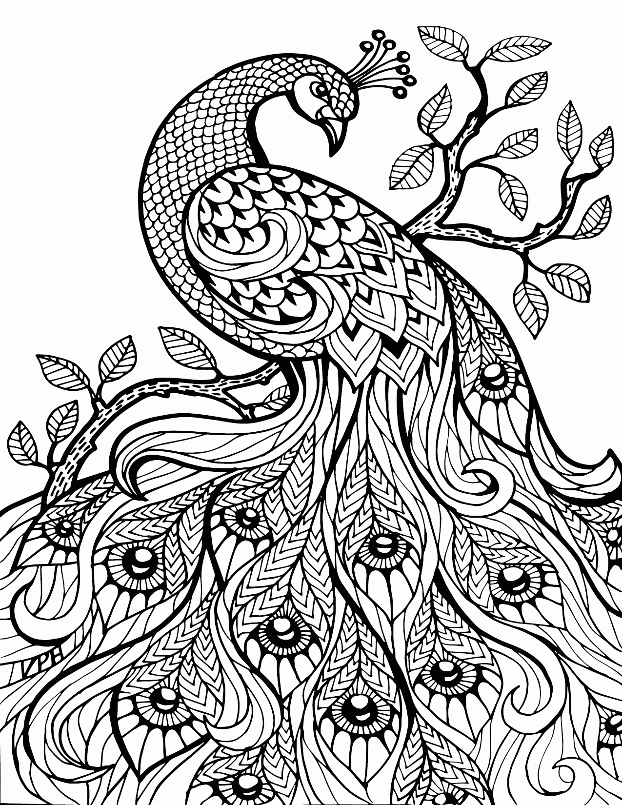 Free Coloring Pages For Adults