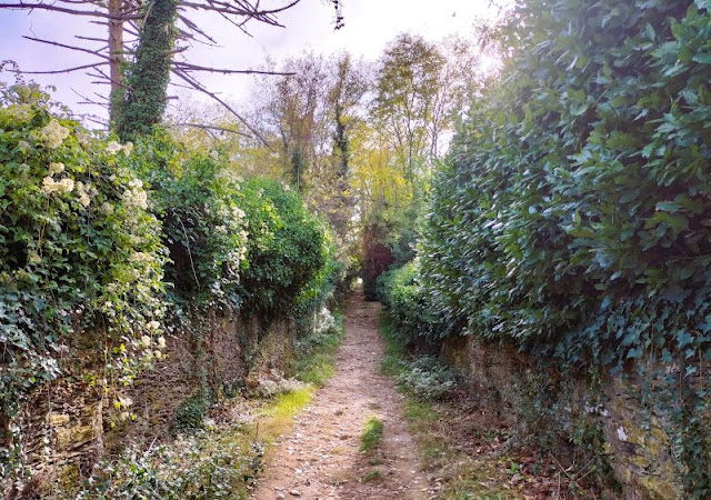 sentiero Bocca Magra Montemarcello